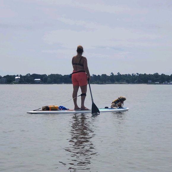 Meet your Posher, Nina - Picture 1 of 1